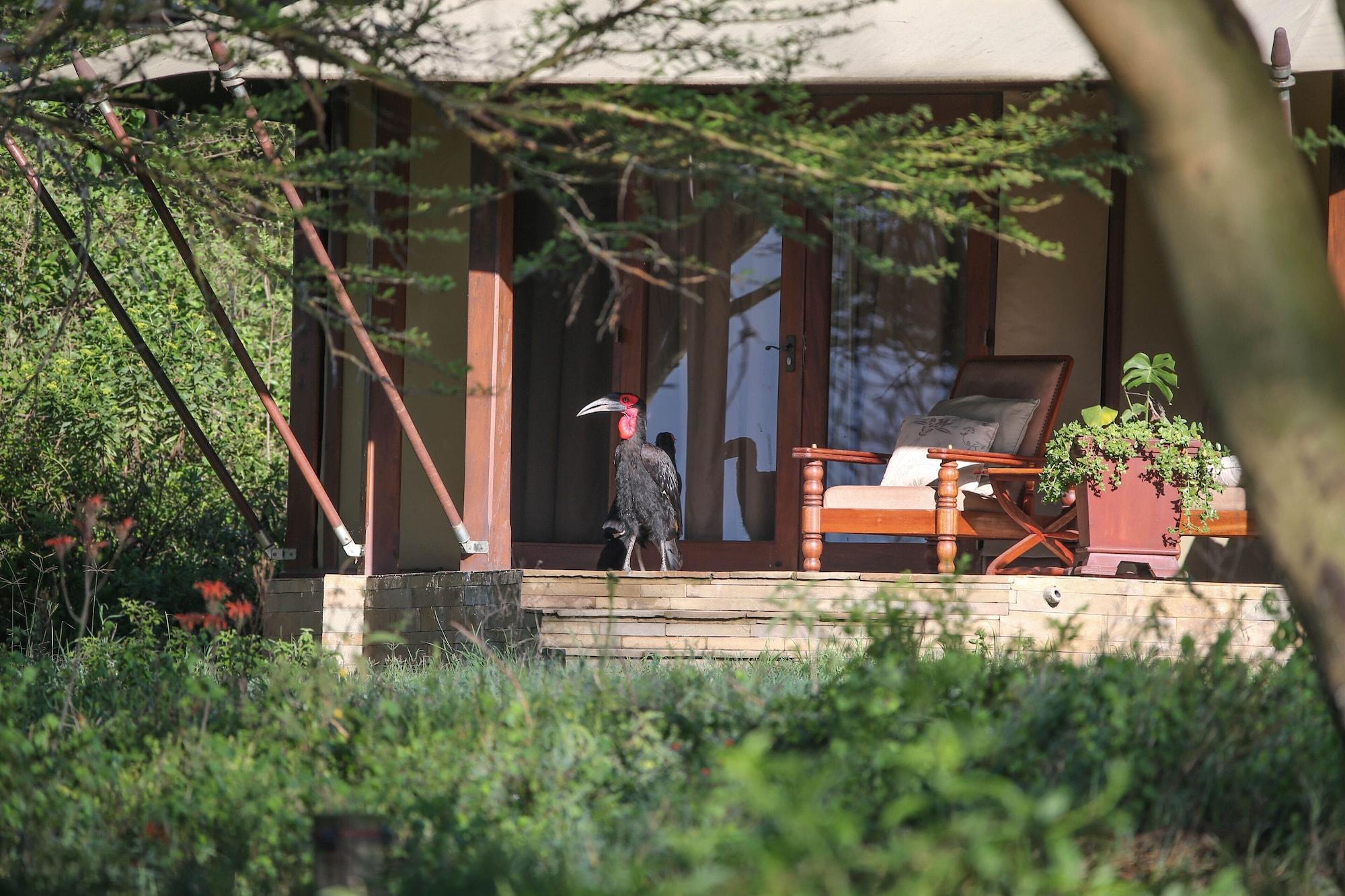 Lake Elmenteita Serena Camp Esterno foto