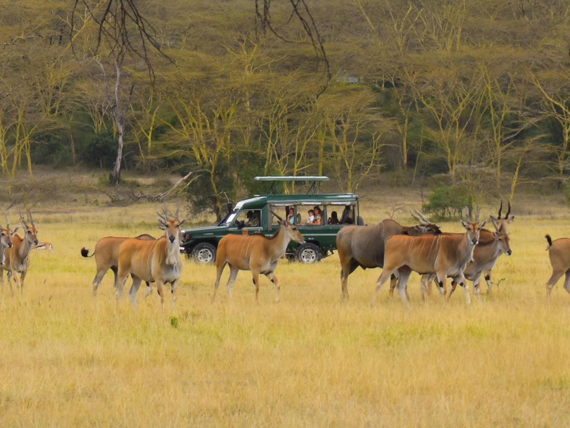 Lake Elmenteita Serena Camp Esterno foto